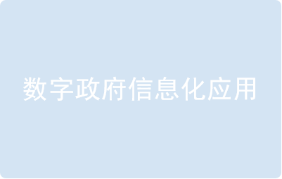 数字政府